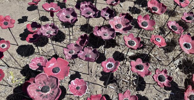 Sculptures of hundred red poppy flowers in the ground at the Nova Music Festival memorial 